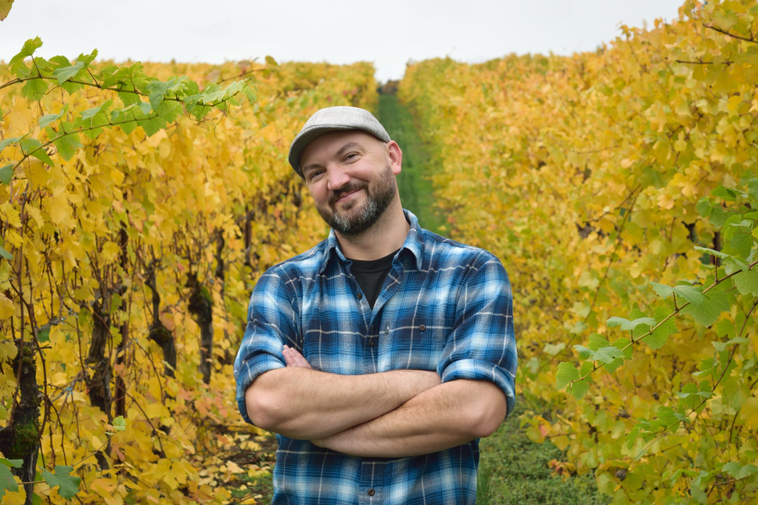 Zach Mance Autumn vineyard